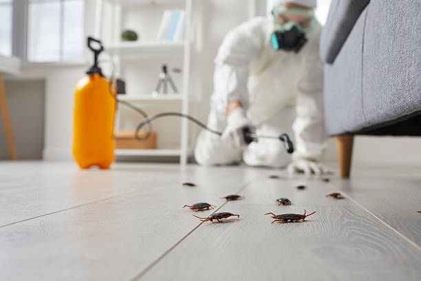 Commercial Rodent Management in Enoch